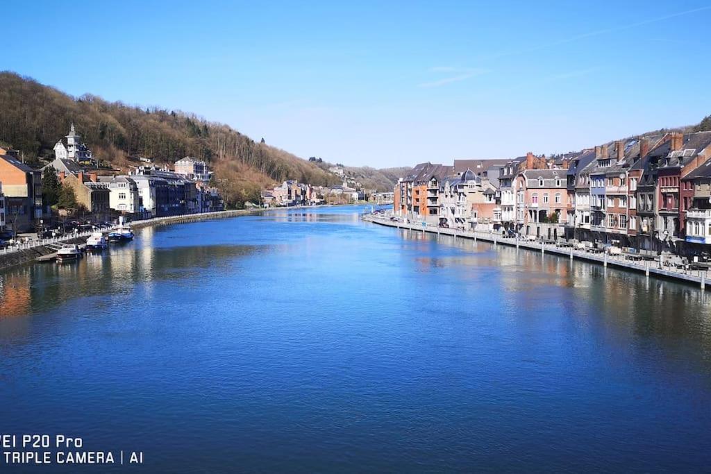 Vue Sur Meuse Avec Jacuzzi Et Sauna Exterieur. Yvoir 외부 사진